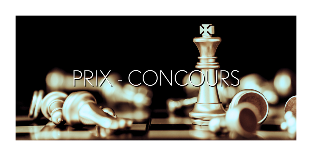 créatrice prix gagnés concours artisanat d'art économie circulaire