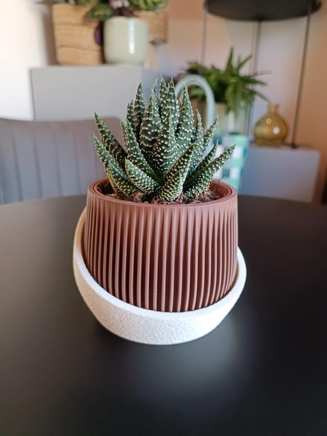 product_list_image_cover