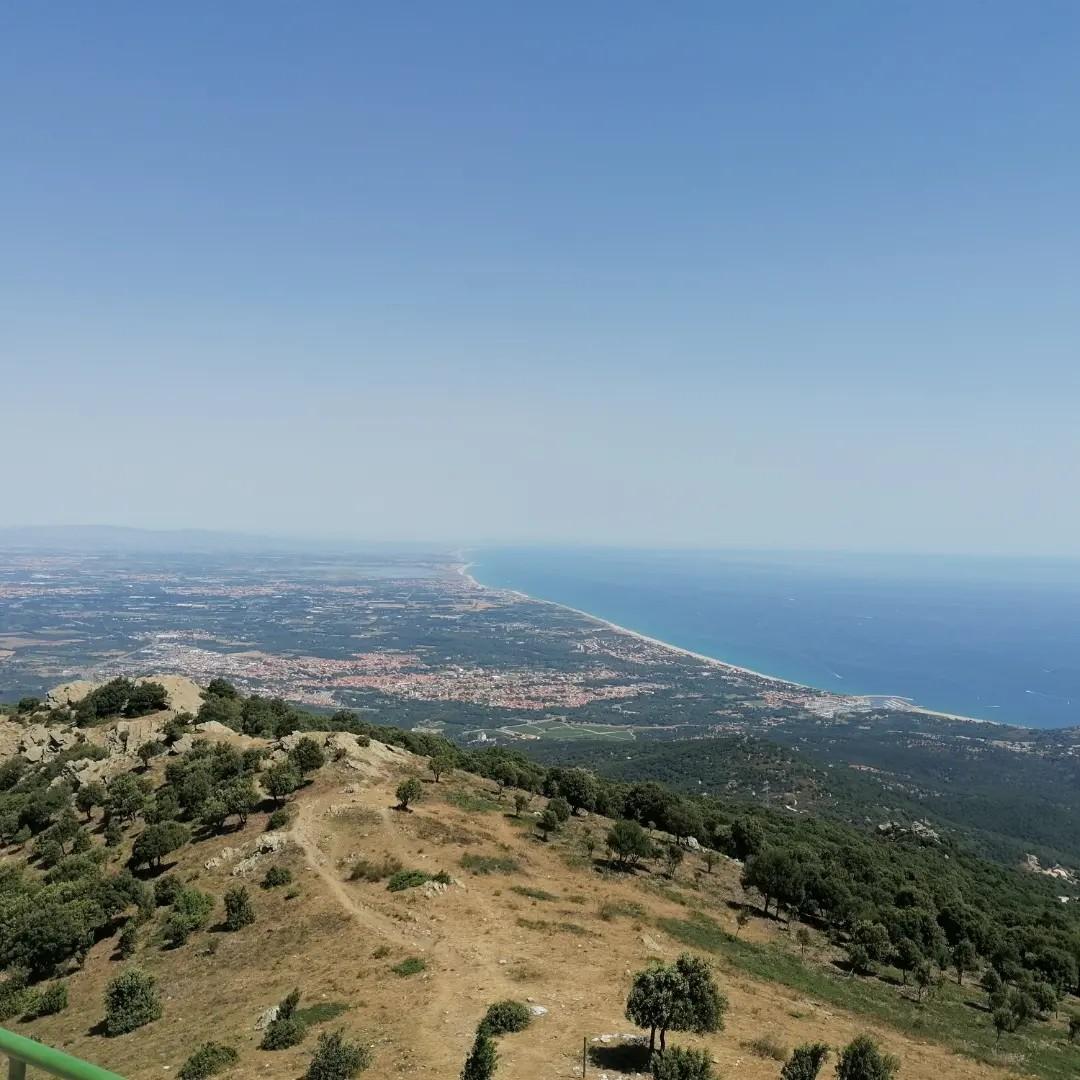 Section image