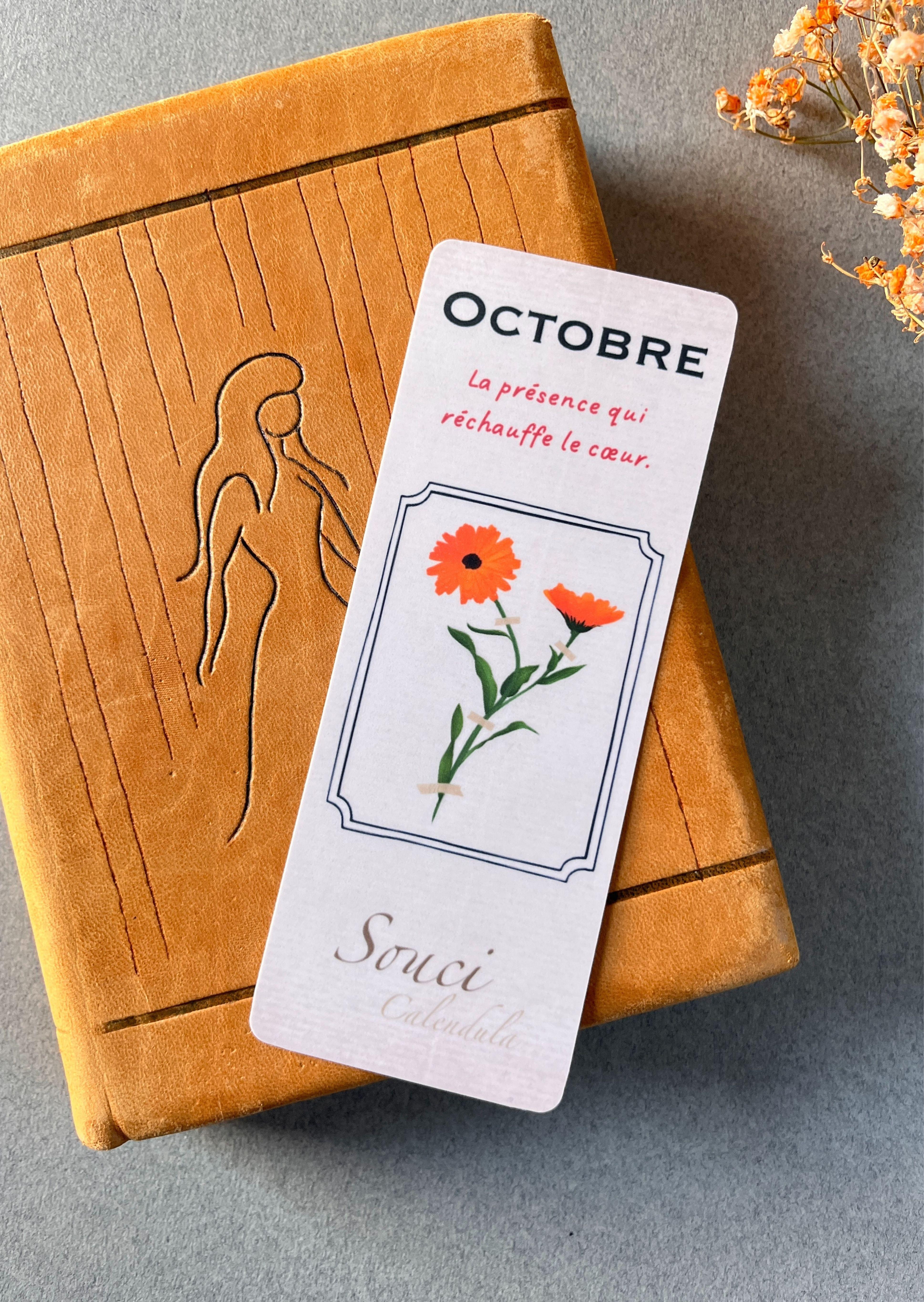 Marque-pages "Herbier"