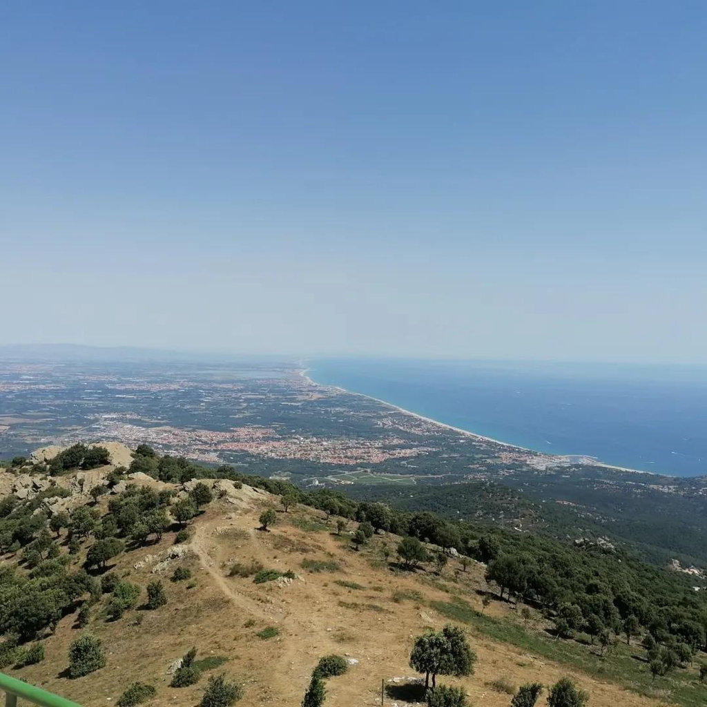 banner_image