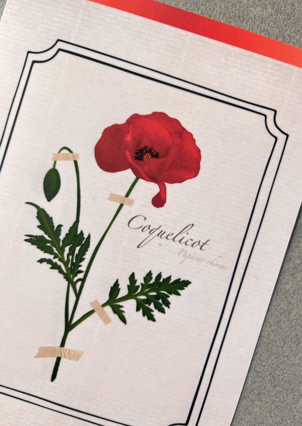 product_list_image_cover