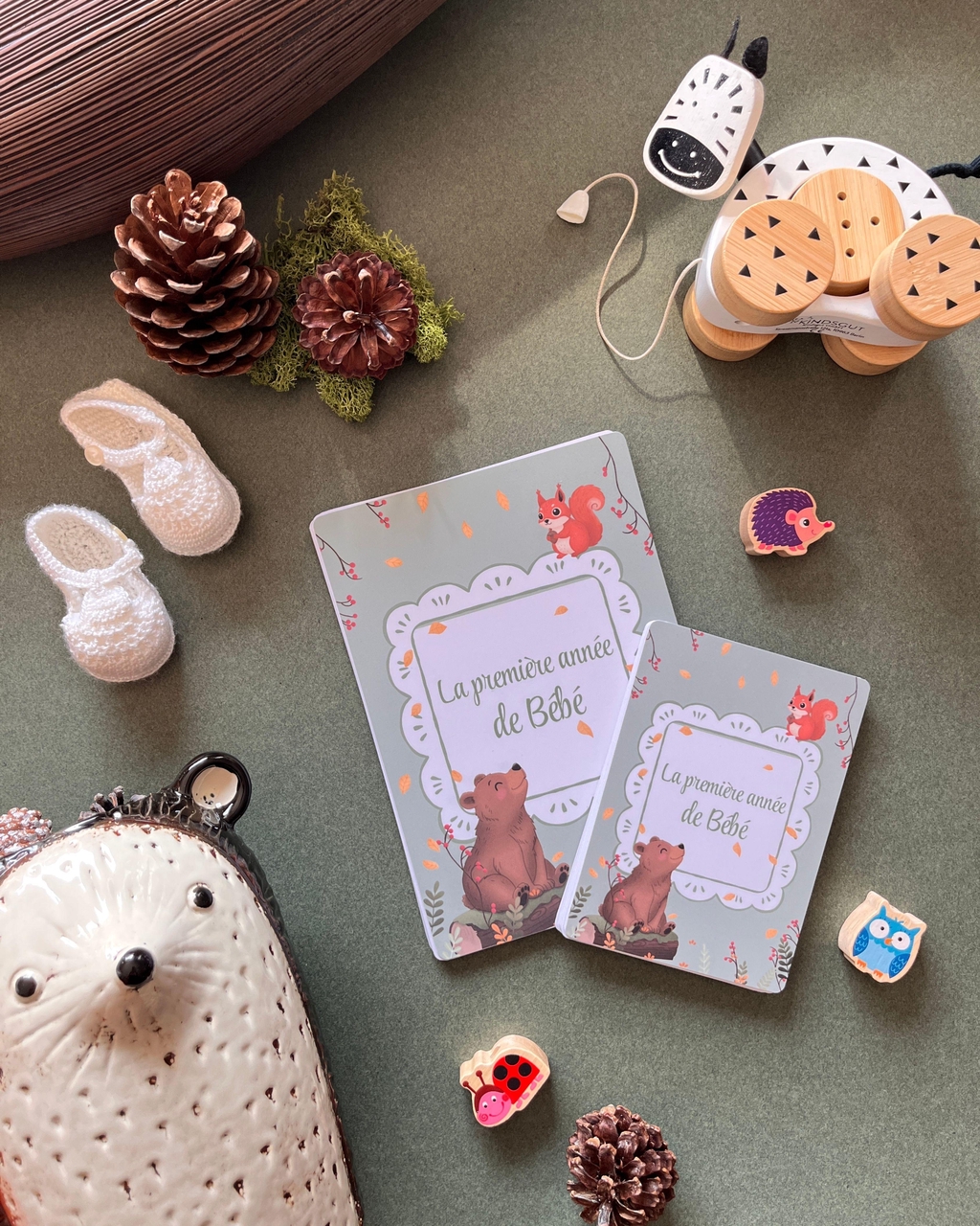 photo des cartes étapes bébé thème forêt