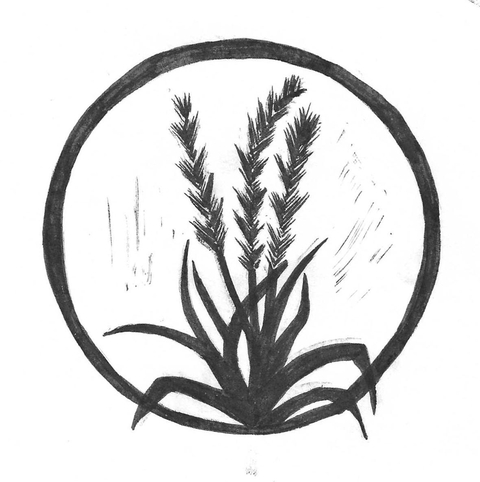 store_logo