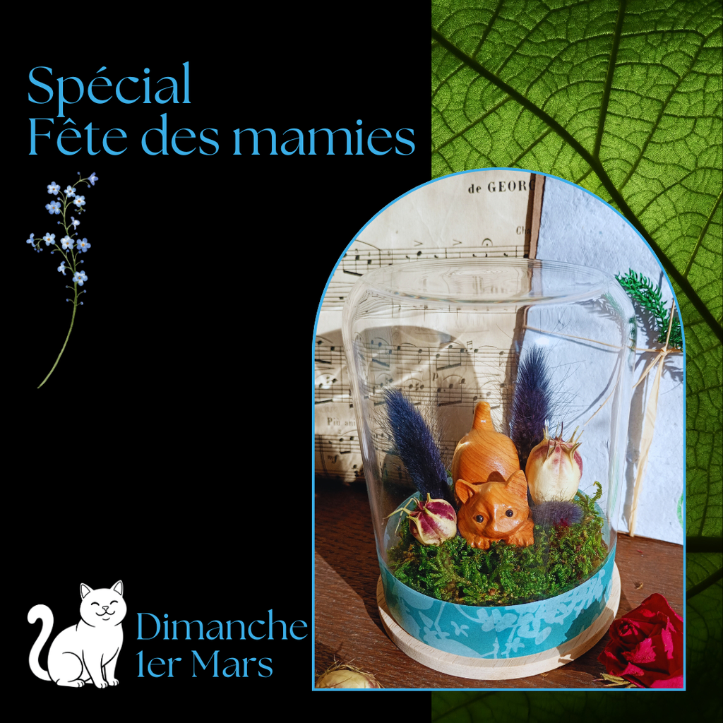 Notre sélection fête des mamies