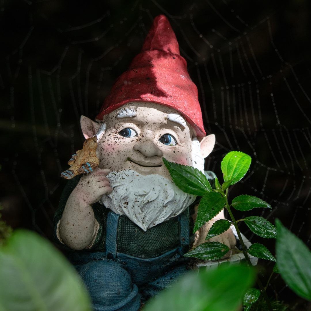 Bulletin magique romance