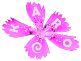 Logo Bewegungsreichtum