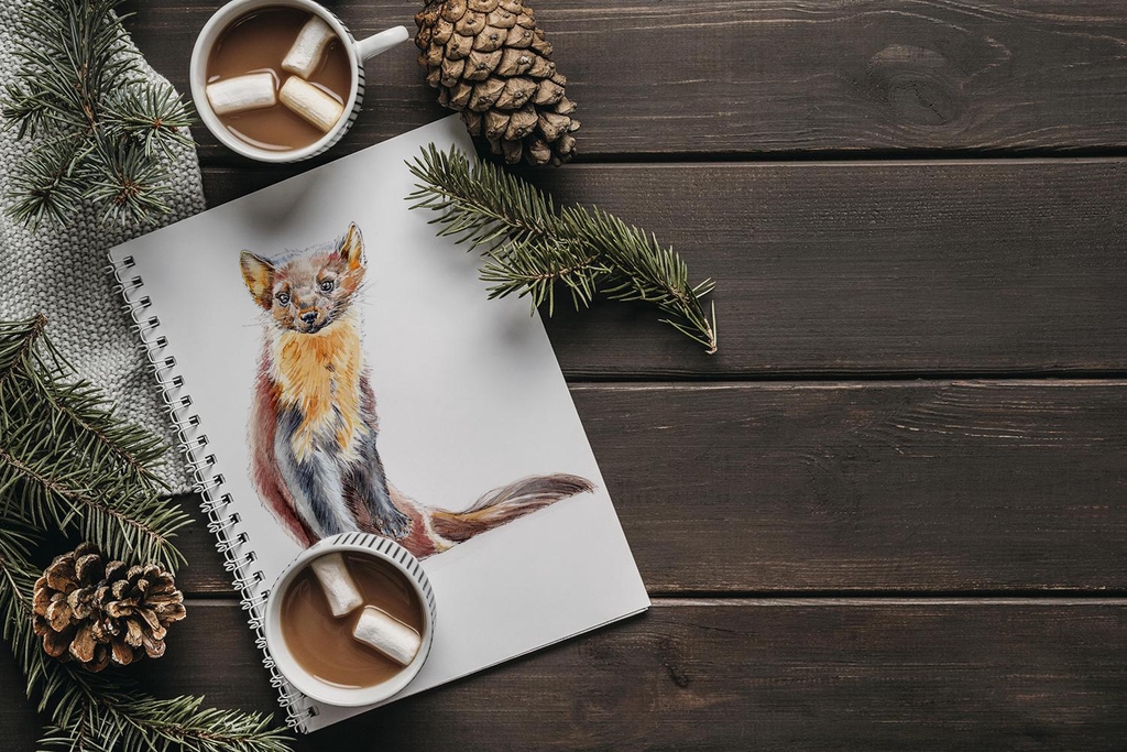 Drawing of a Pine Marten on an open sketch book. The sketchbook is on a wooden table, and there are two cups of hot chocolate with marshmallows on it and some sprigs of pine and pinecones. 