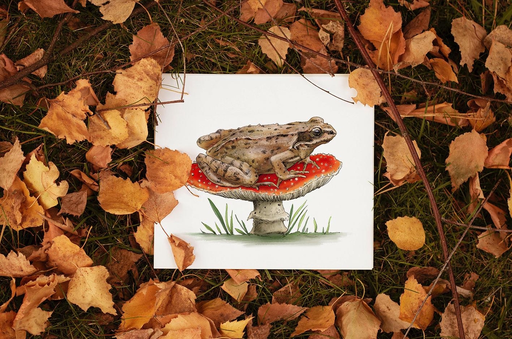 A print of a frog sitting on a toadstool mushroom. The print is on a grassy floor covered with autumn leaves. 