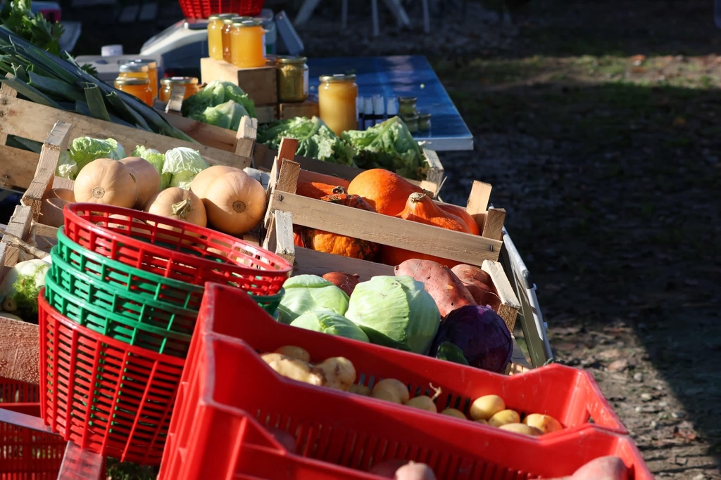 Bienvenue sur notre site de vente en ligne 
