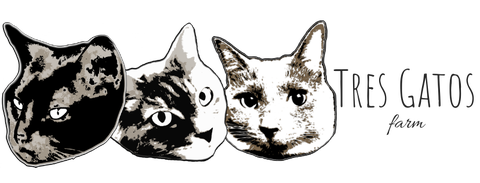 store_logo