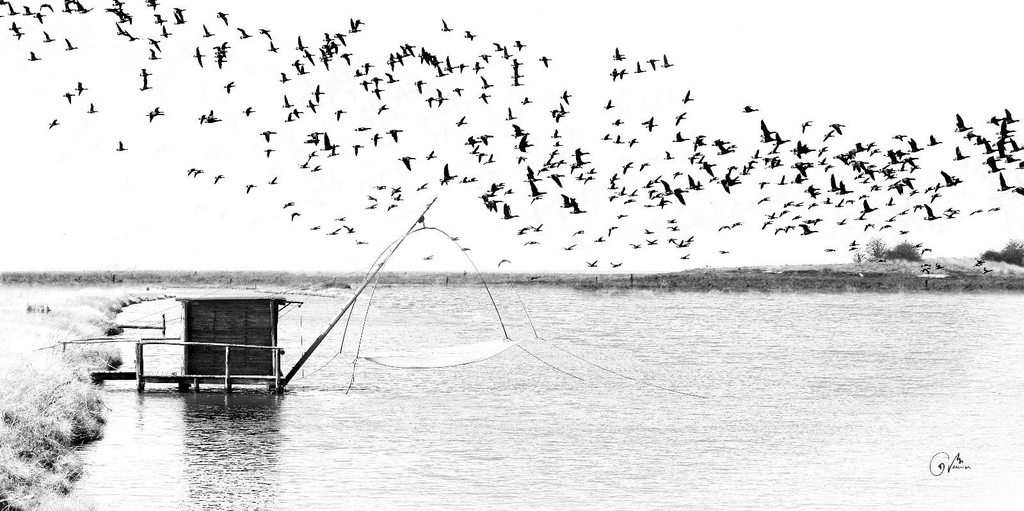 Silence au carrelet – Entre ciel et marée