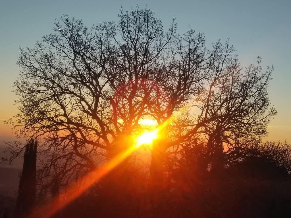 Massaggi olistici per il benessere