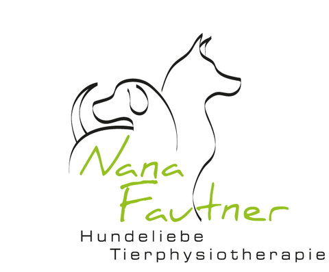 Videos und Webinare zum Thema Hundegesundheit 