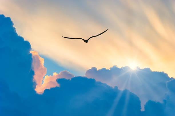 coach Nantes et st-herblain, pensées positives, gestion des émotions, chemin spirituel