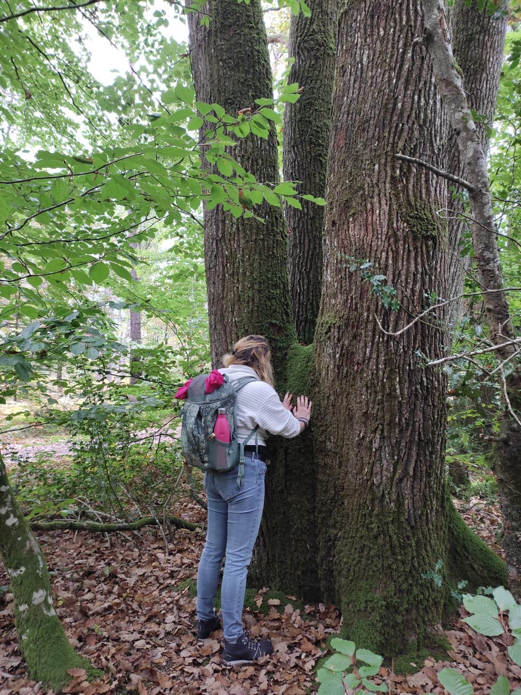 Atelier de balada spirituelle, énergétique et d'ancrage, je me connecte à Gaia