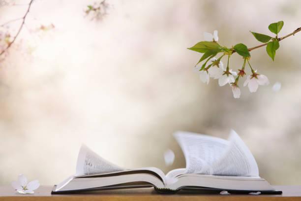 coach enfant hypersensible, gestion des émotions