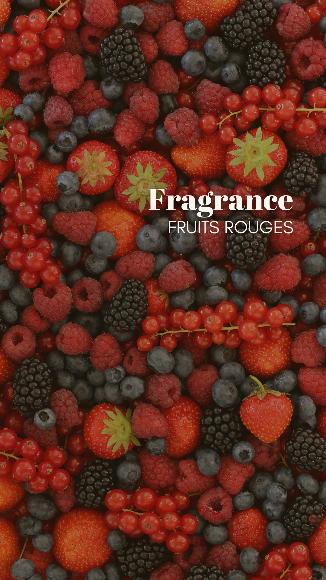 Fruits rouges