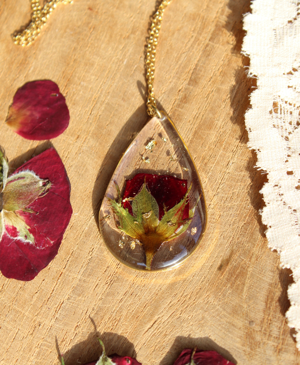 Vous êtes un professionnel?