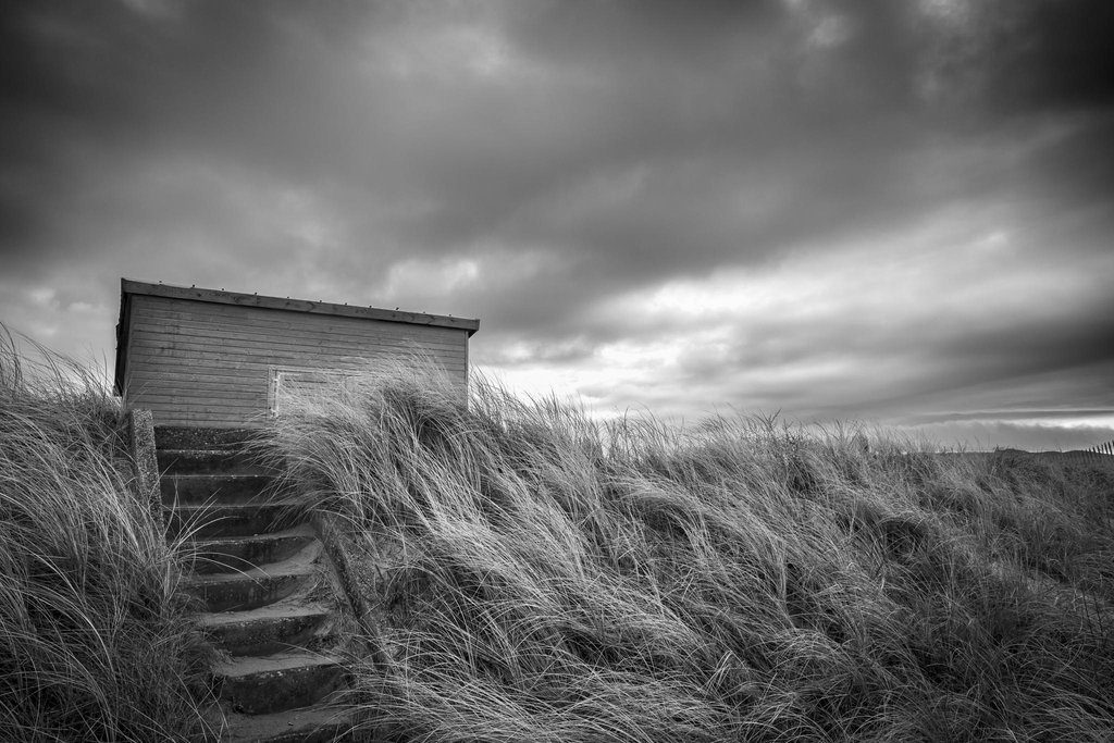 Fabien Legagneur
Photographe Nature