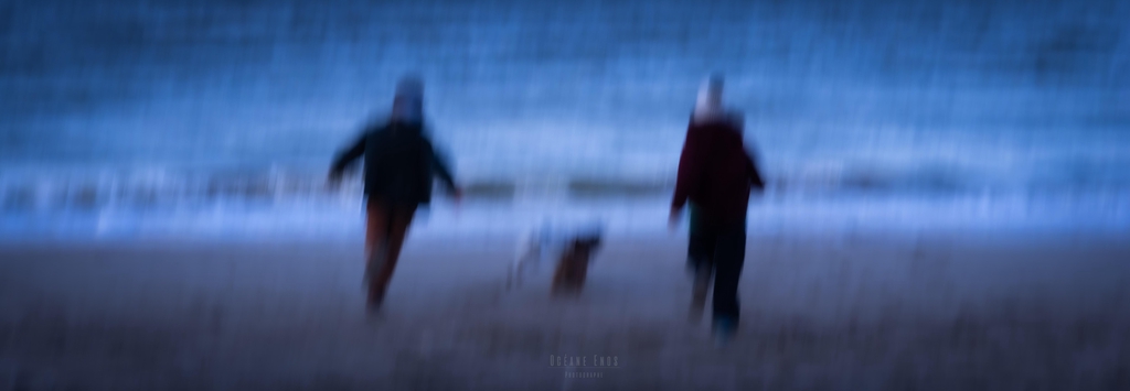 Photographe animalière et portrait à Caen