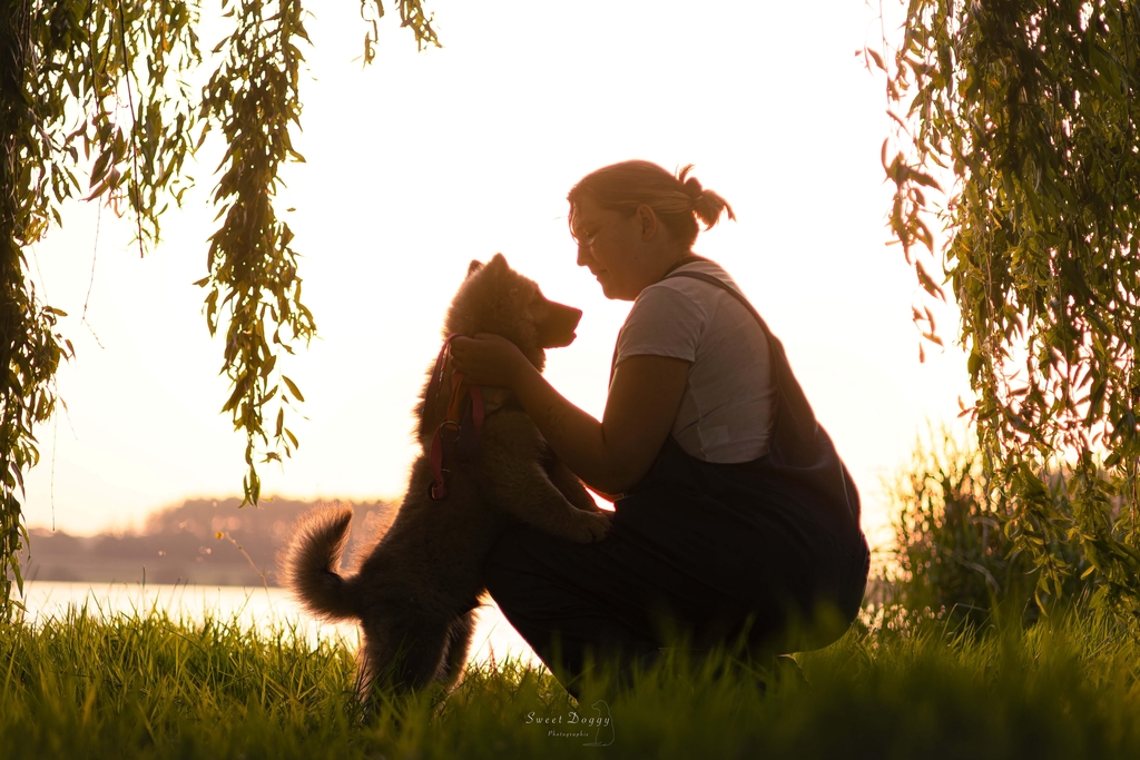 Photographe animalière et portrait à Caen