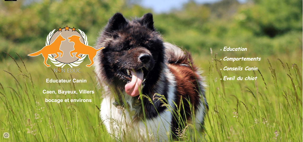 Éducateur canin sur Caen, Bayeux, Villers bocage et environs