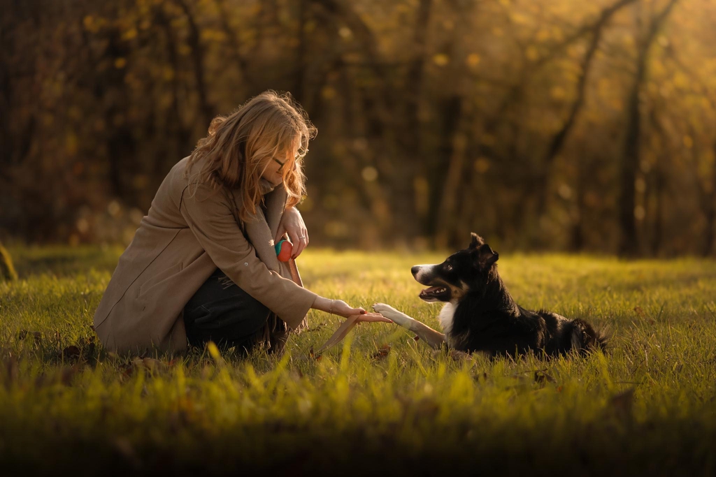 Photographe animalière et portrait à Caen