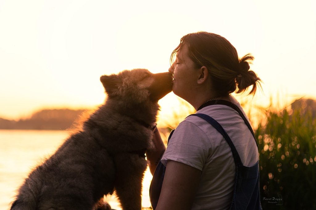 Photographe animalière et portrait à Caen