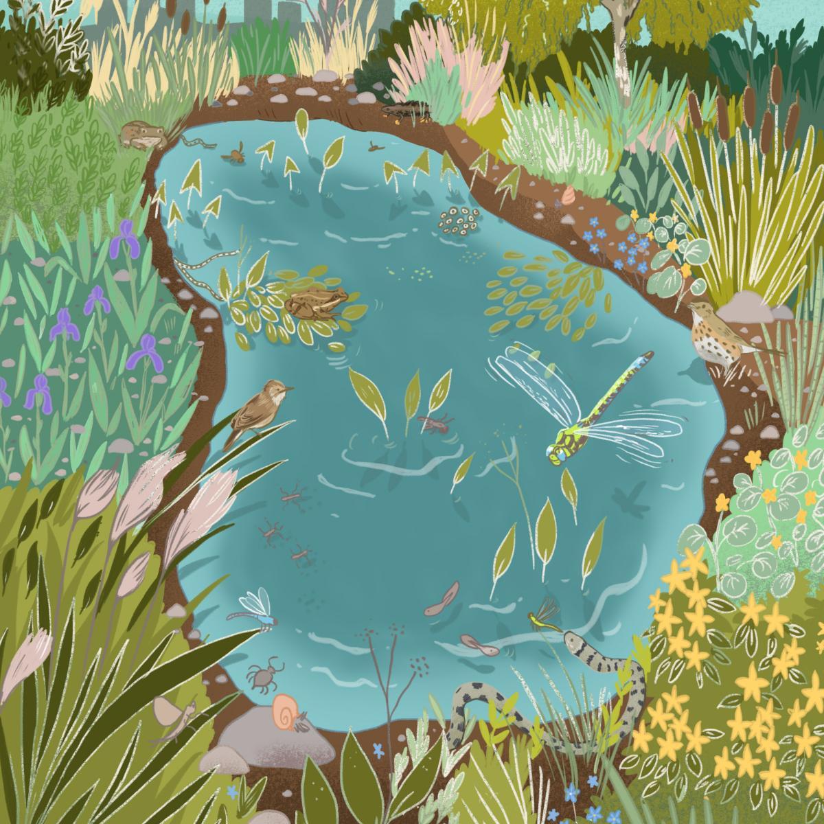 Biodiversité en ville