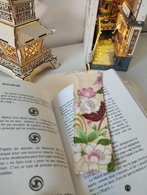 Accessoires de lecture