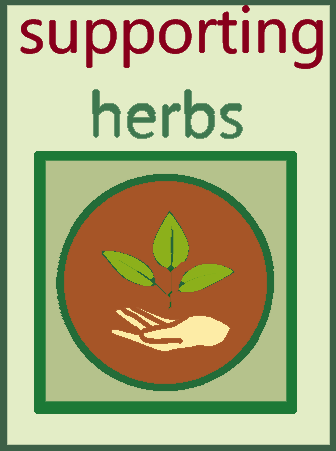 Bij supporting herbs geloven wij in de kracht van de natuur en het gebruik van kruiden om de gezondheid en het welzijn
van uw huisdieren te bevorderen.
Ons assortiment is zorgvuldig samengrsteld met alleen de beste ingrediënten, zodat u er zeker van kunt zijn dat u alleen het beste voor uw huisdier krijgt.
Ook geloven wij bij supporting herbs de natuur ook uw gezondheid kan ondersteunen en ook daarvoor hebben wij een mooi assortiment kruiden op voorraad.