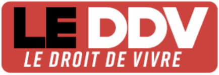 store_logo