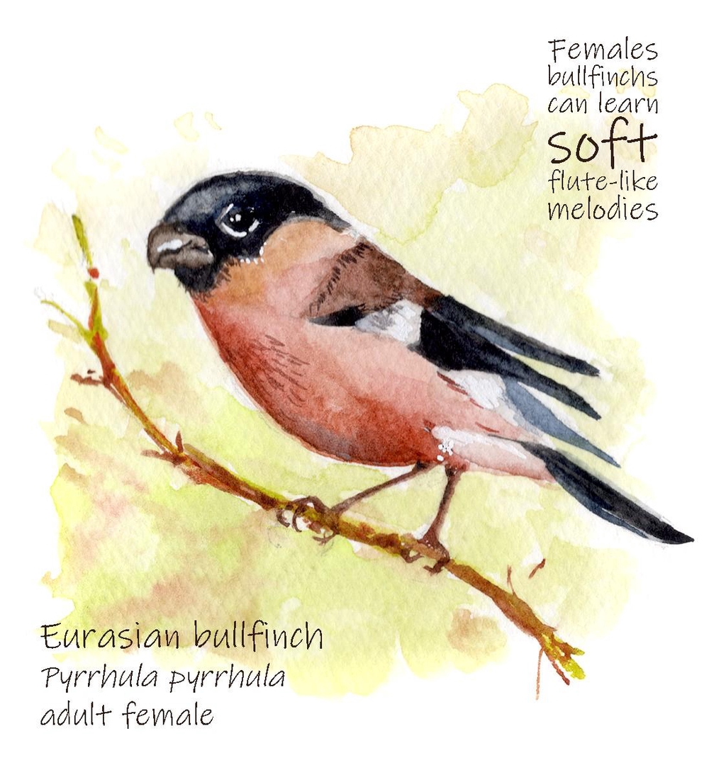 Looking for a custom piece? Reach out at mcecis@gmail.com or message me on Instagram @mcecis_art