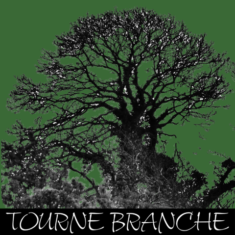 store_logo