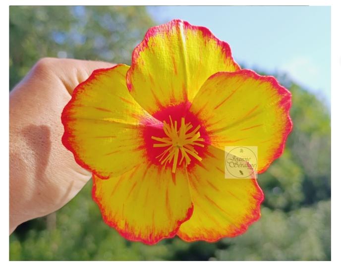 Fleur sur tige Joanne SERALINE DESIGN 