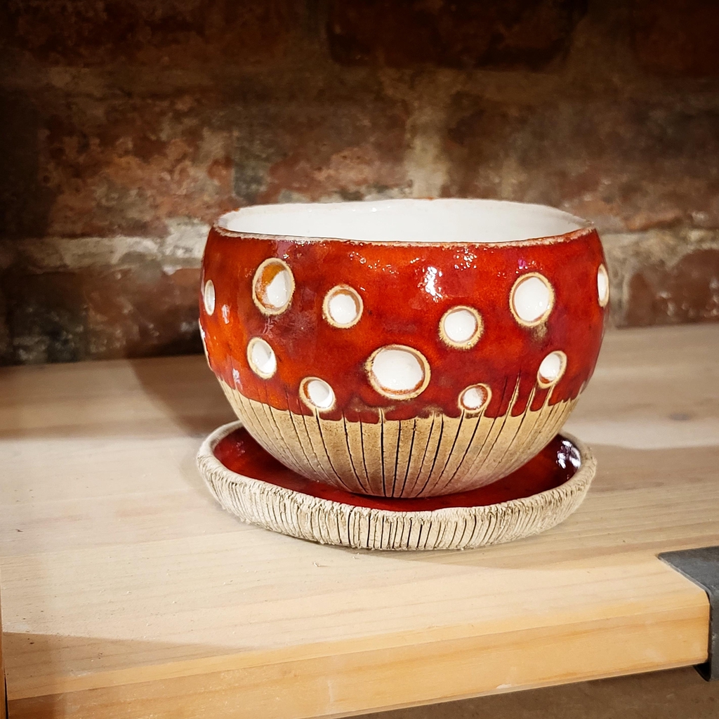 product_list_image_cover