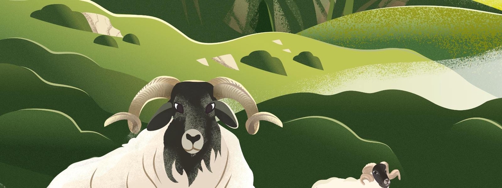 Illustrations des Pyrénées et du Pays Basque au format affiches et cartes postales