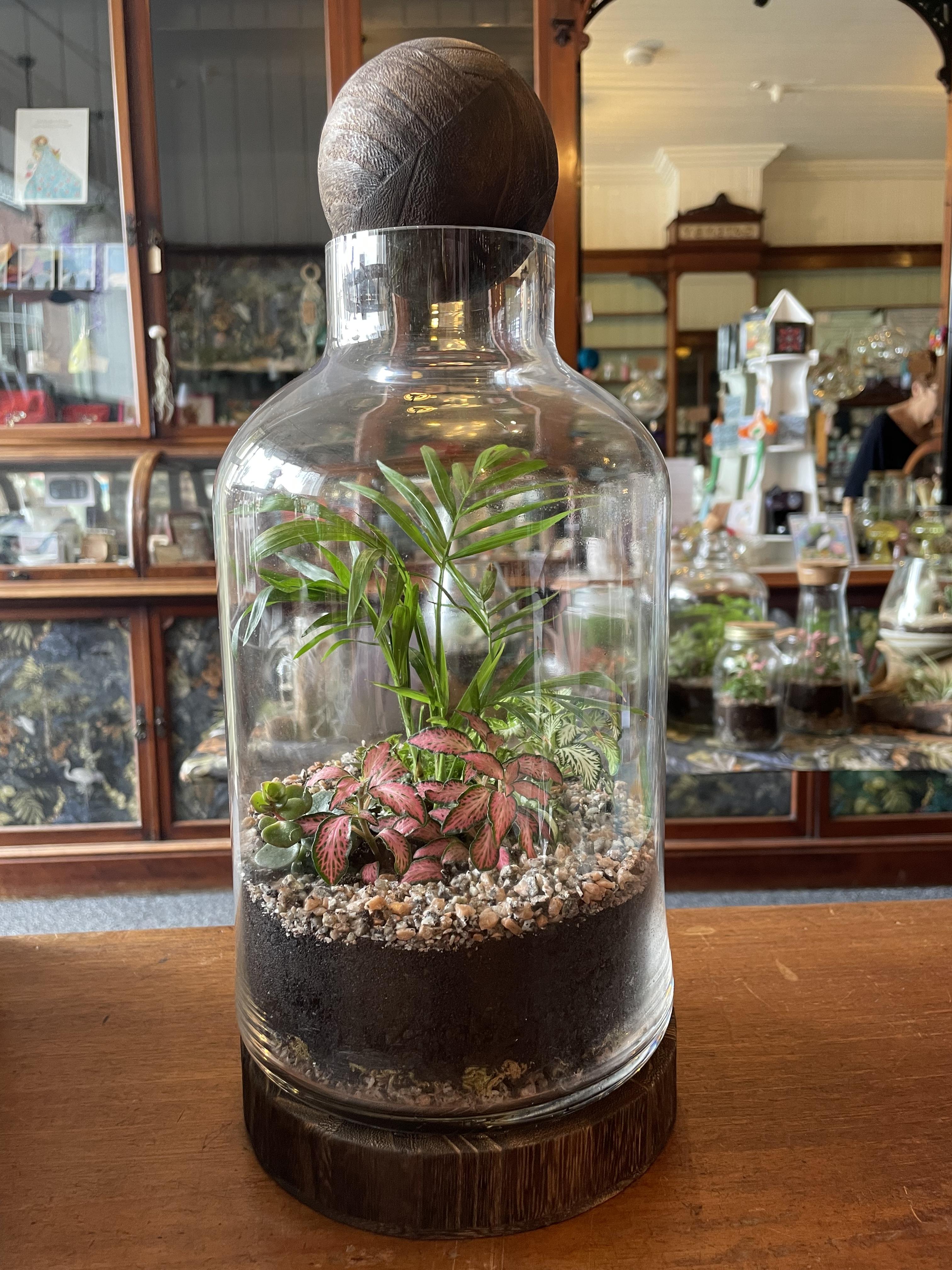 How to care for for a closed terrarium 