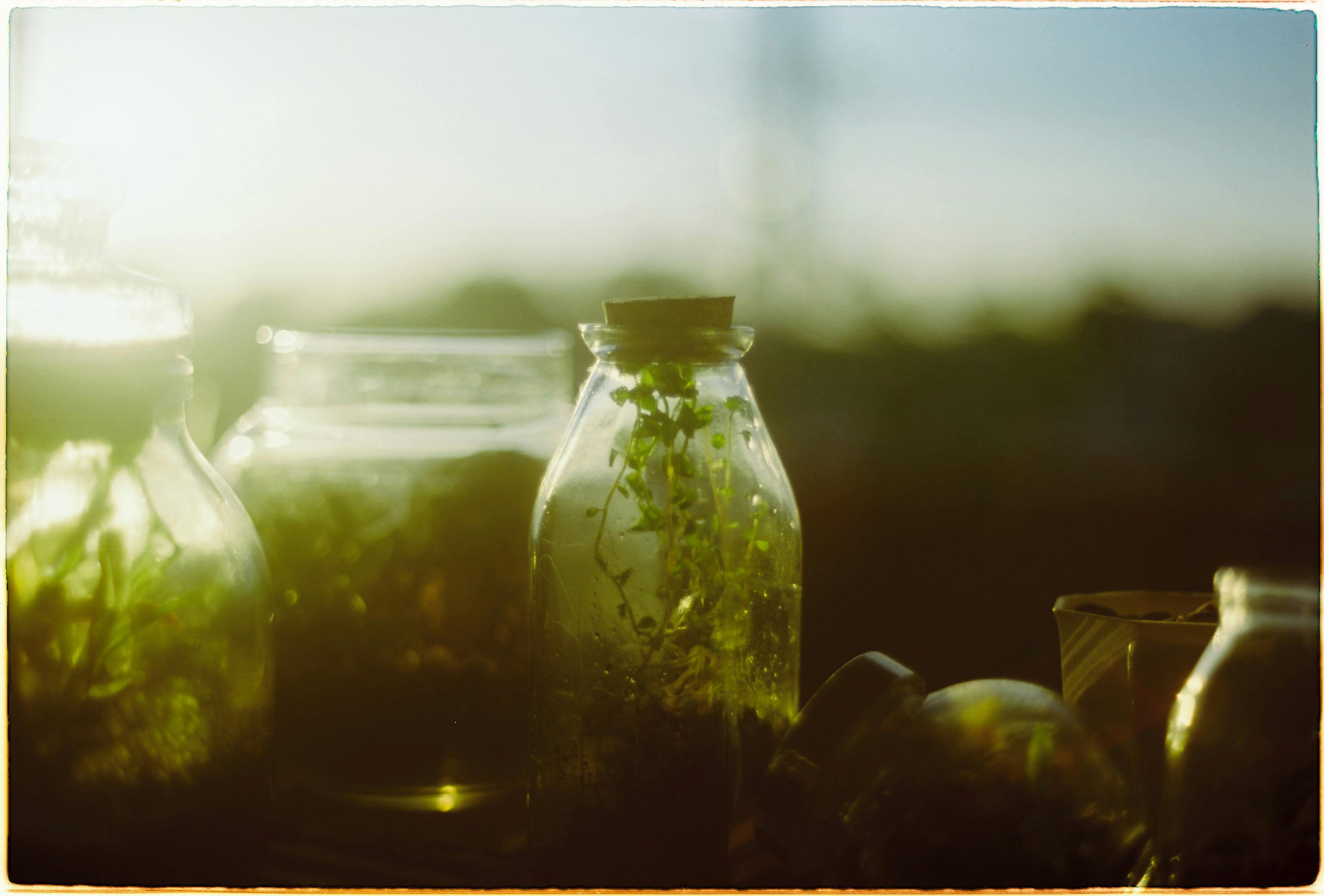 how to deal with terrarium steam or condensation