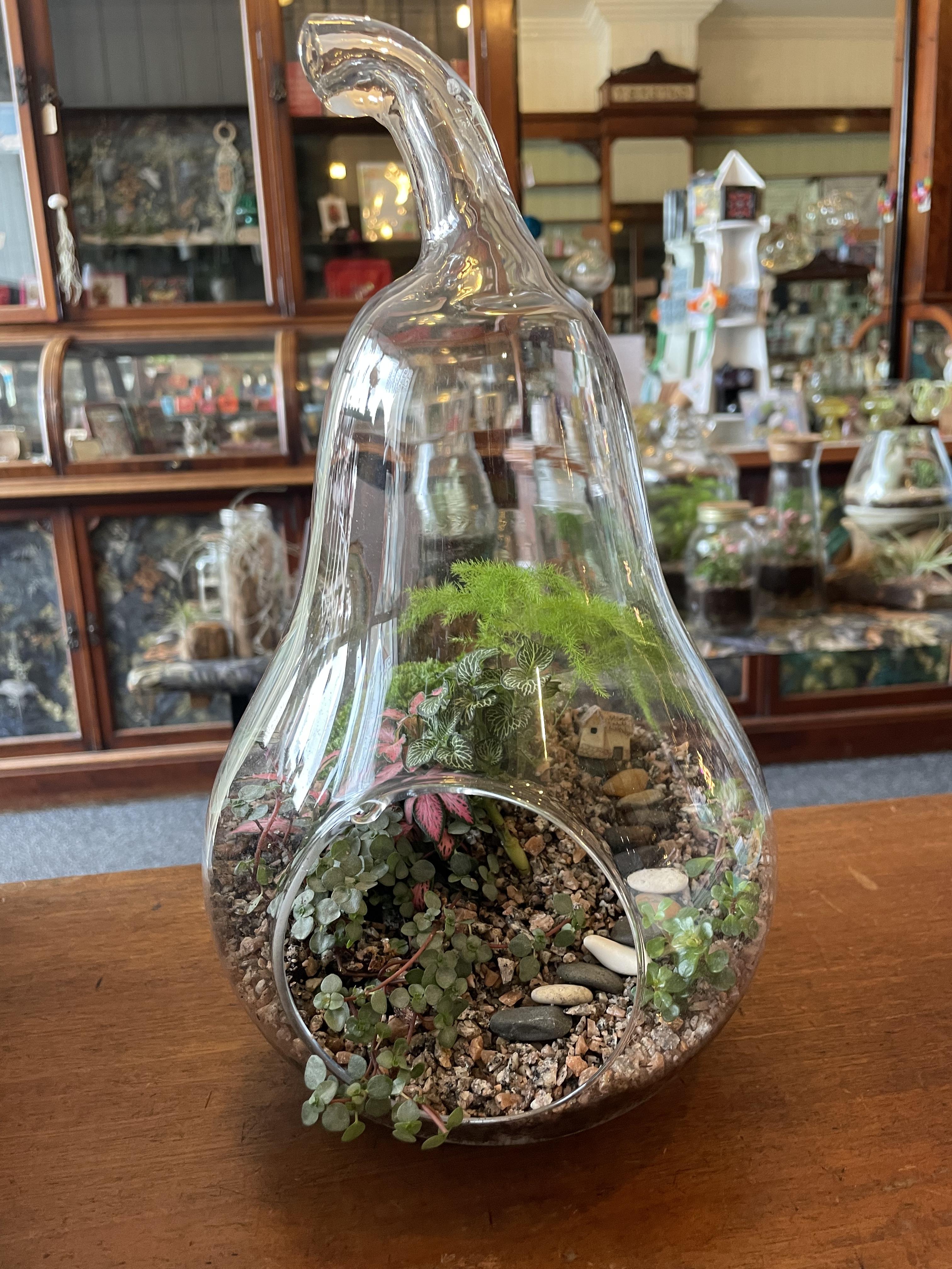 managing humidity in an open terrarium