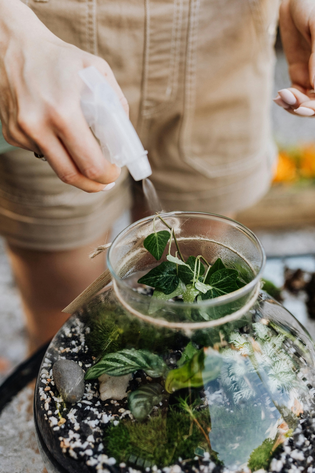 Watering an open terrarium