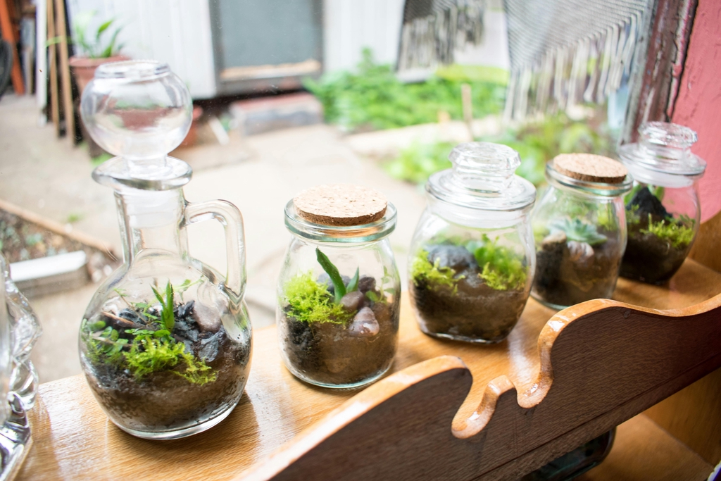where to place your terrarium