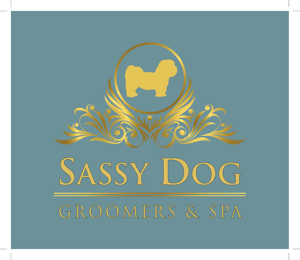 Scottish Selection of Natural Treats & Luxury Products to Care for Your Best Friend 