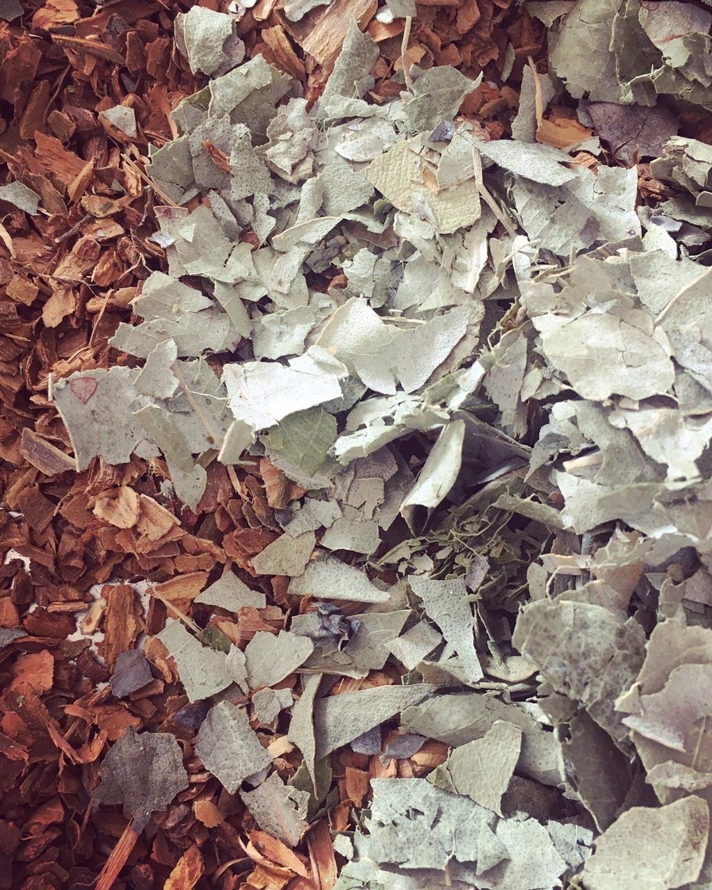 mes services de préparations personnalisées et conseils adaptés.