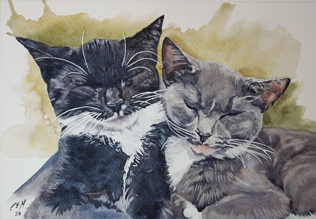 Watercolour portrait of 2 cats one black one grey