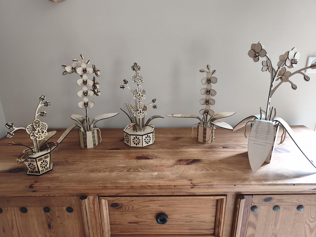 orchidées en bois