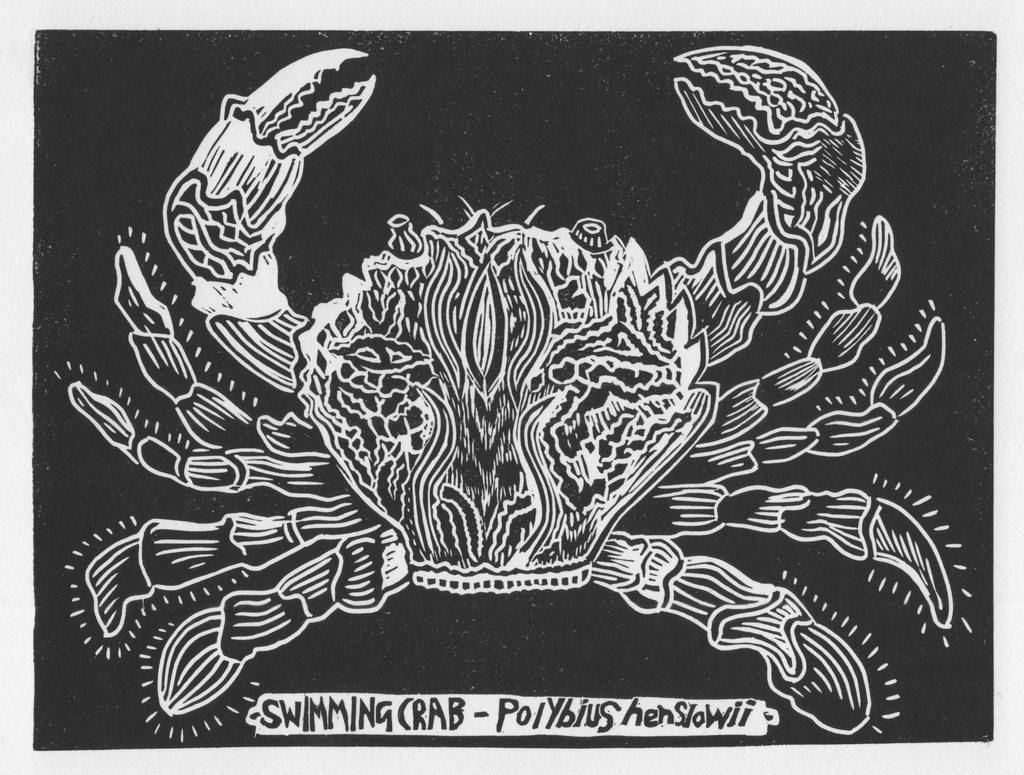 Find the answers in this new biography of Henslow