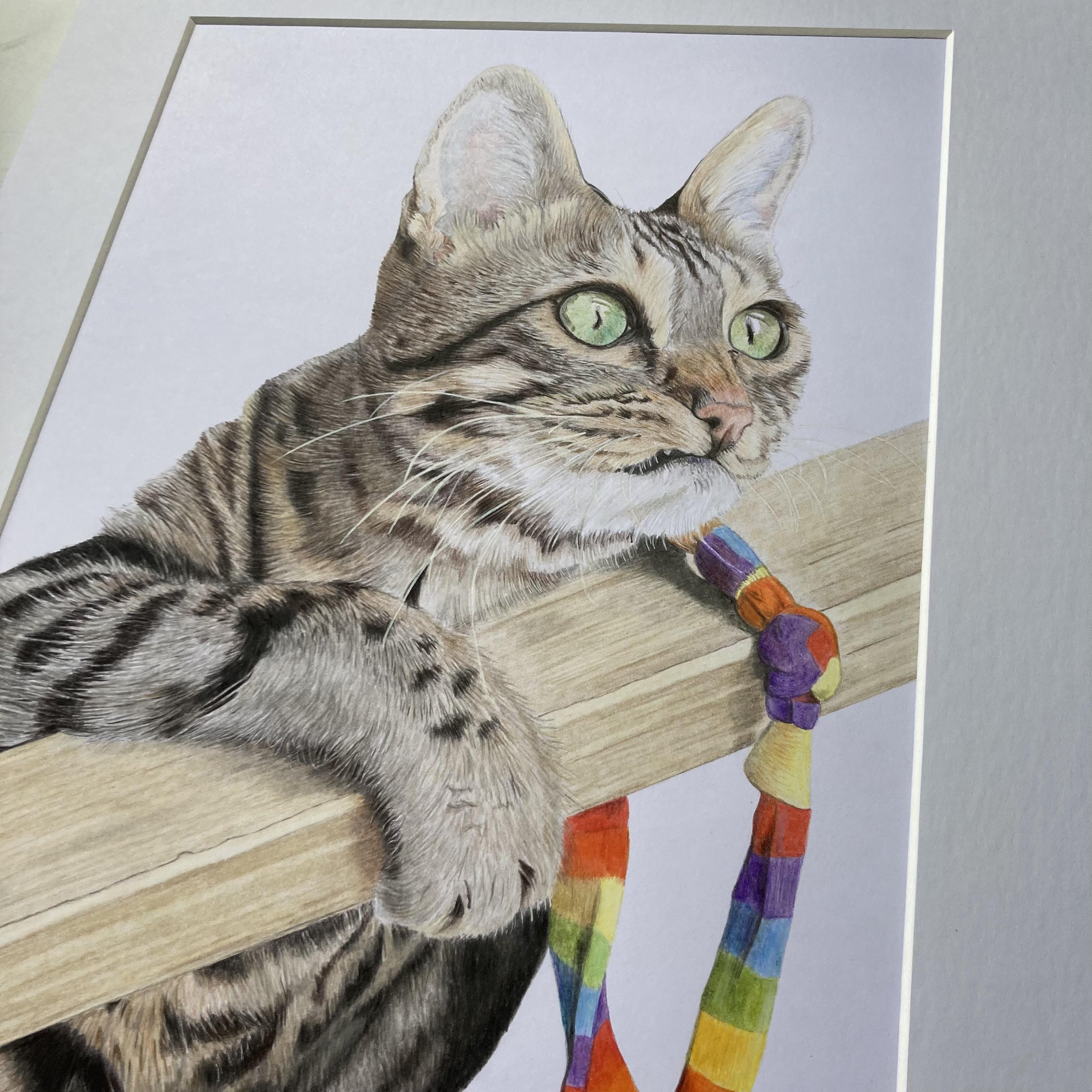 Pet Portrait Commissions