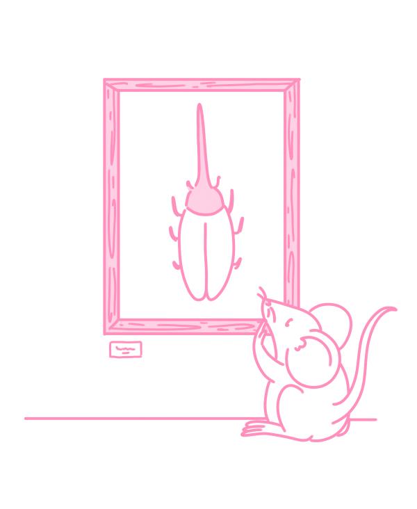 product_list_image_cover